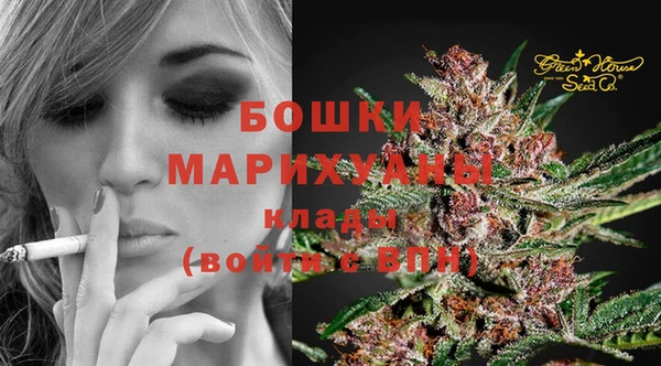 прущие крисы Михайловск