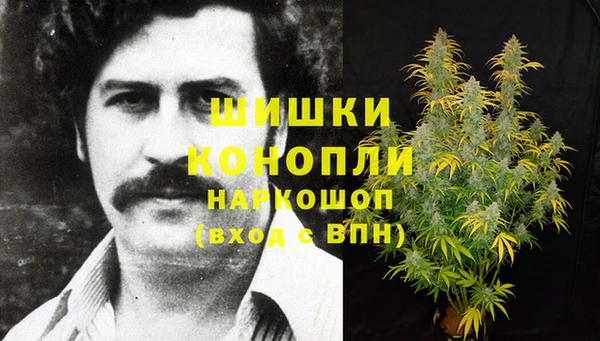 твердый Михайлов