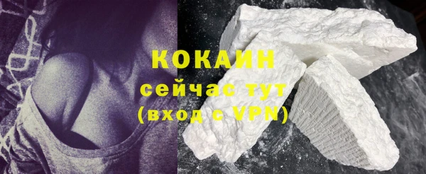 твердый Михайлов