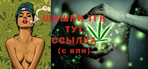 твердый Михайлов