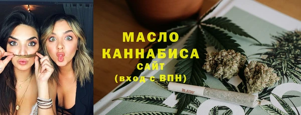 твердый Михайлов