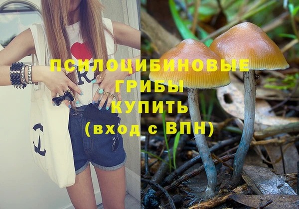 твердый Михайлов