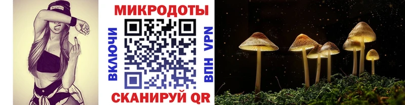 Купить  Покровск  Псилоцибиновые грибы прущие грибы 